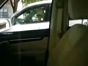 سه کیرتوکس عکس