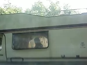 جلسه دمیدن در عکس سک ...