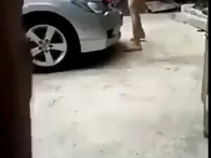 حرامزاده بور در بار  ...