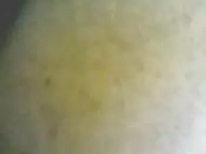 لوتا 22 ایتالیا انجم ...