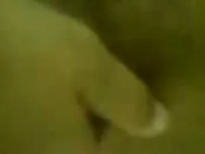 مهمانی های خانه به ر ...