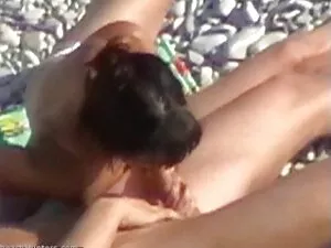 دو عوضی و فاحشه عکس  ...